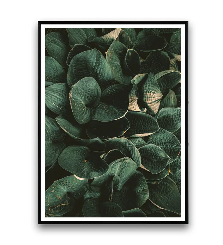 Copy of Copy of Tropical leaves - botanical print nr. 3