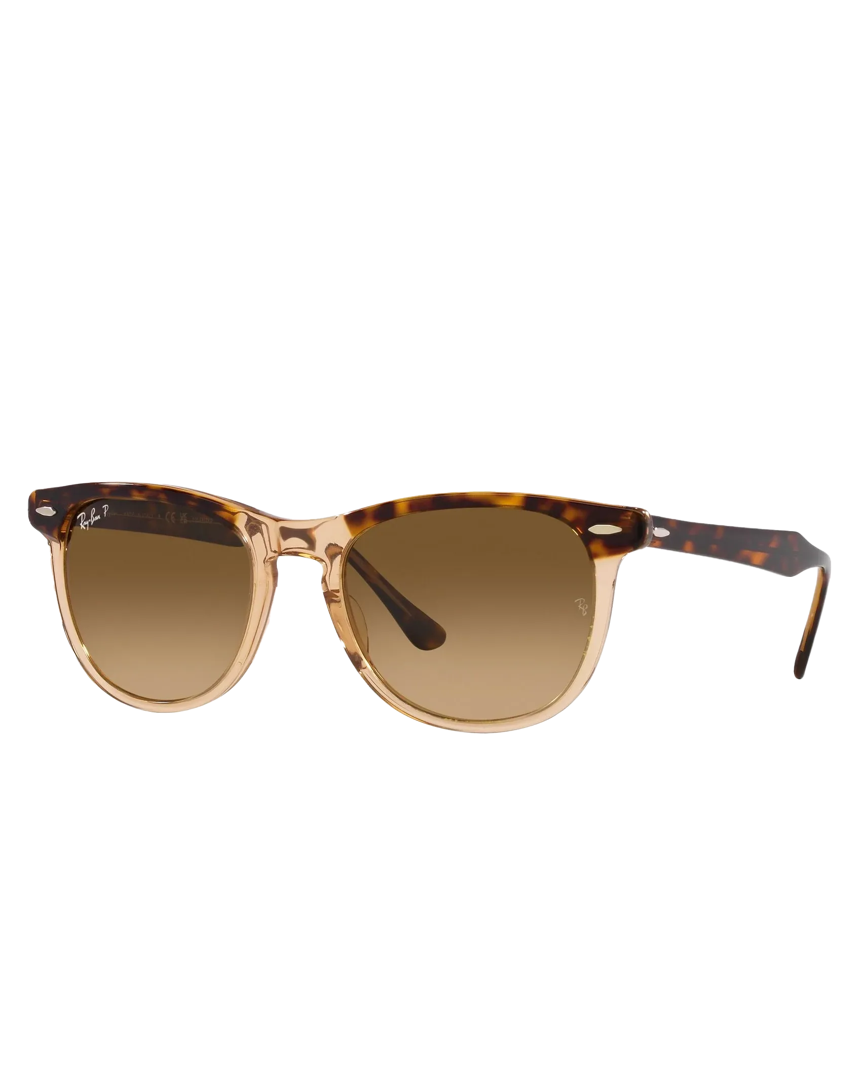 Eagle Eye Polarised Sunglasses in Polished Havana On Transparent Brown & Brown