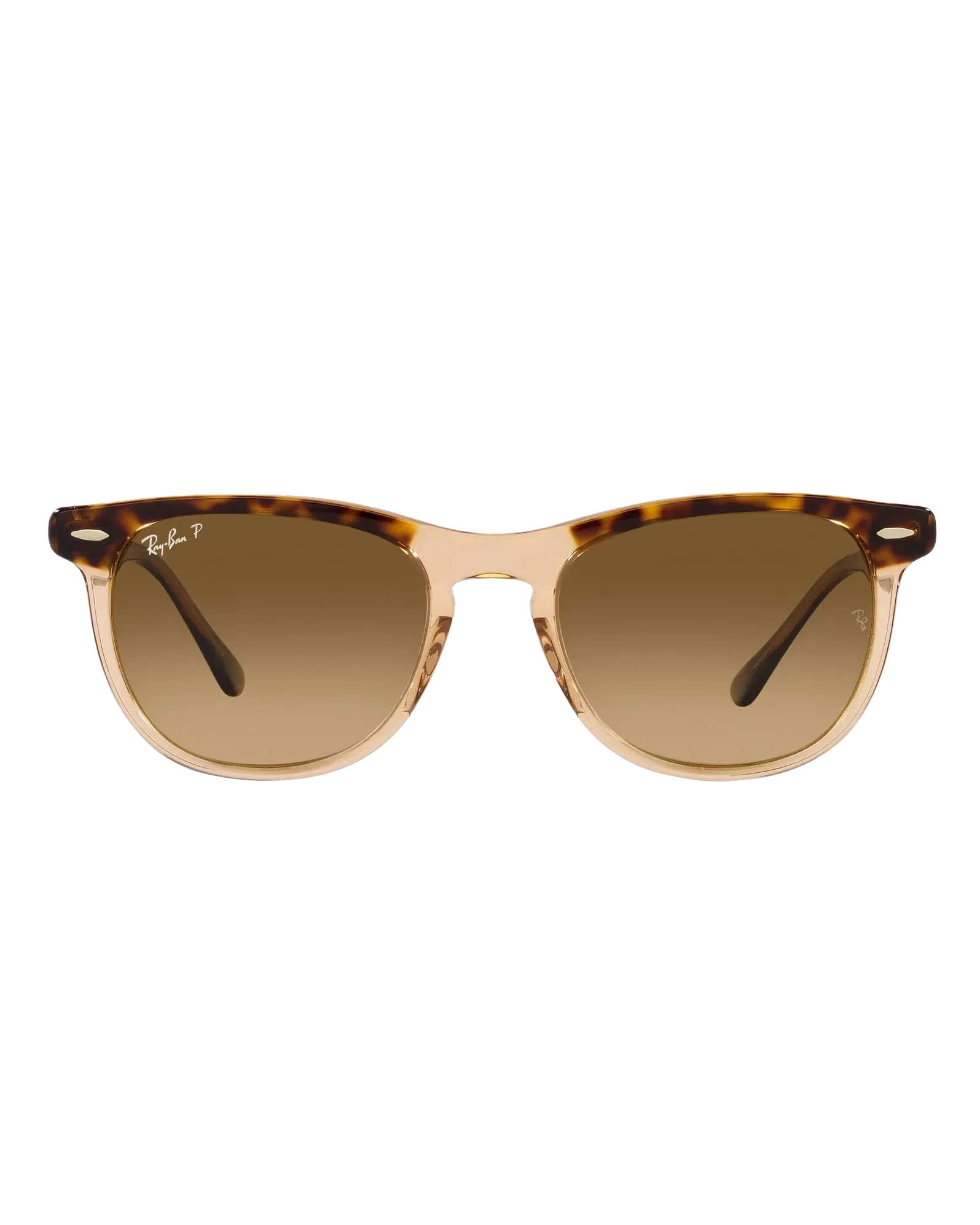 Eagle Eye Polarised Sunglasses in Polished Havana On Transparent Brown & Brown