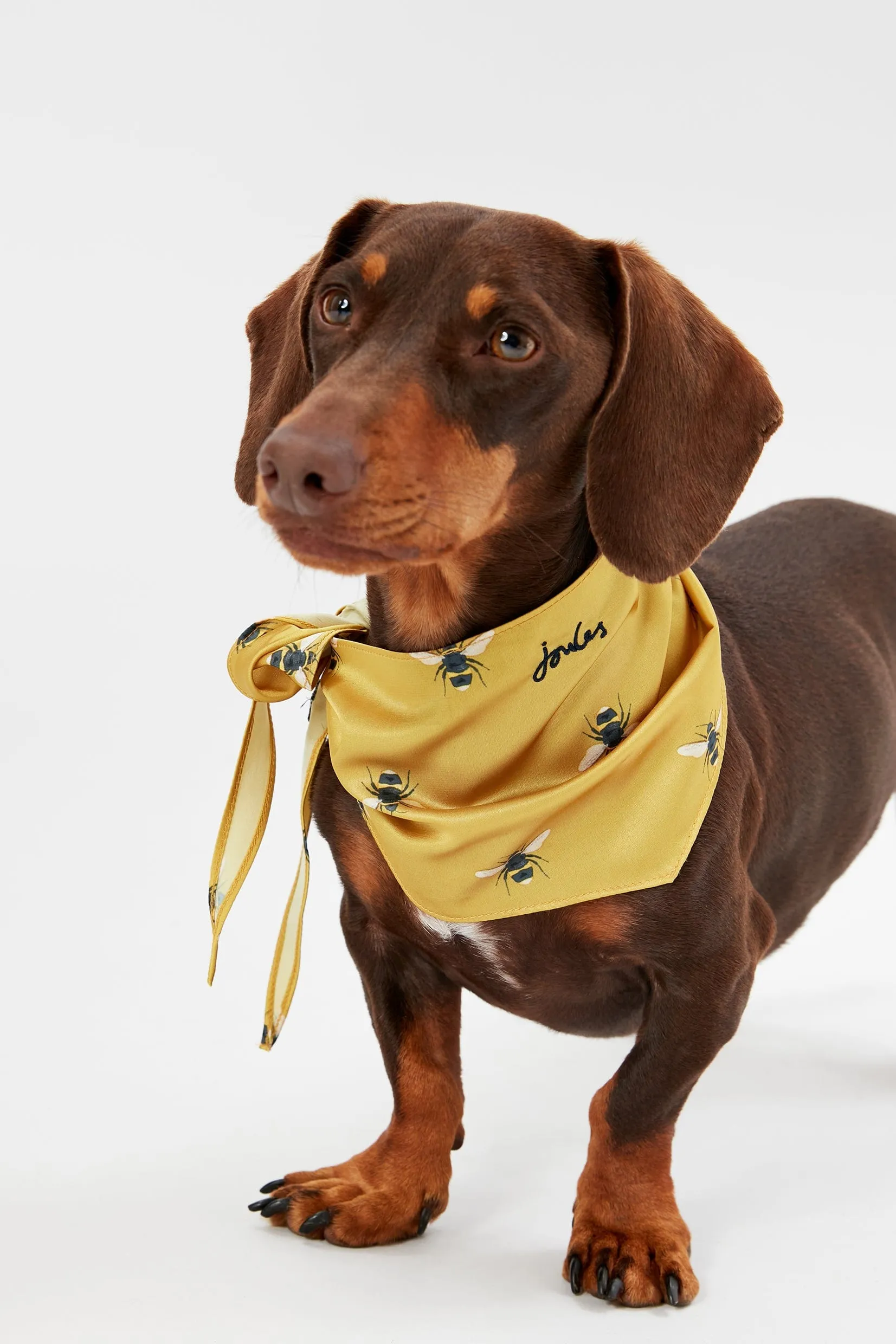 Joules Gold Bee Print Dog Neckerchief