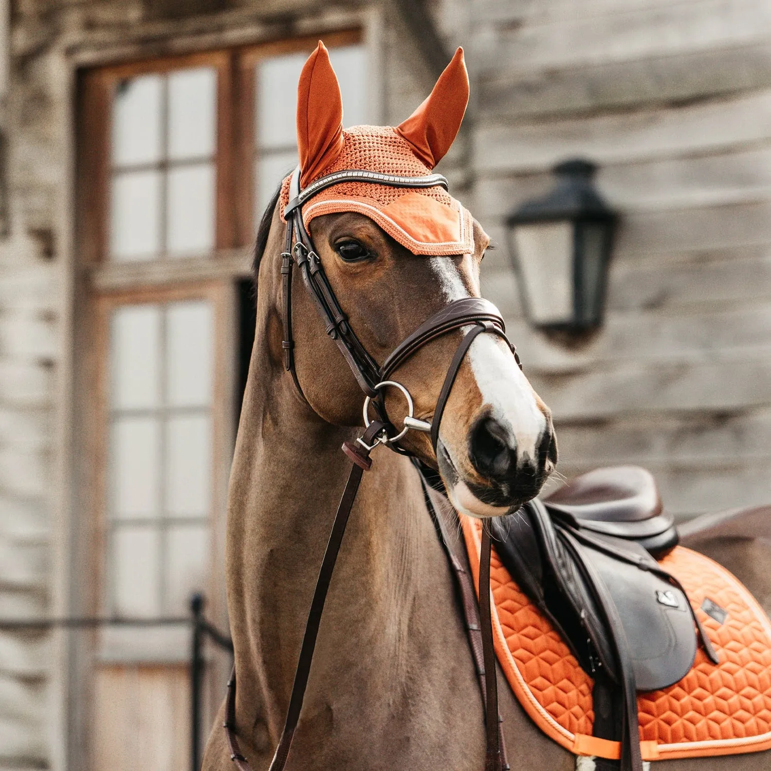 Kentucky Horsewear Wellington Velvet Fly Veil - Orange